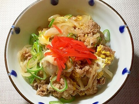 青ネギたっぷり牛肉の他人丼